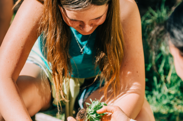 Students planting flowers