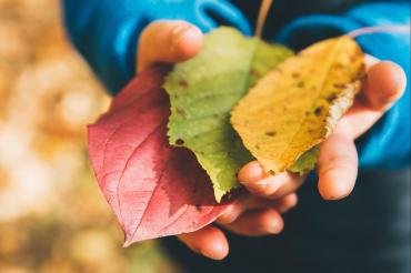 Child holding leaves
